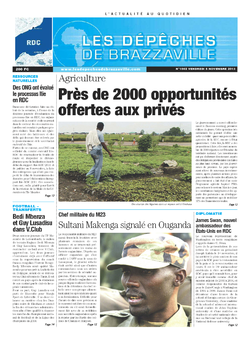 Les Dépêches de Brazzaville : Édition kinshasa du 08 novembre 2013