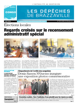 Les Dépêches de Brazzaville : Édition brazzaville du 24 février 2014