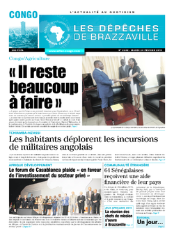Les Dépêches de Brazzaville : Édition brazzaville du 24 février 2015